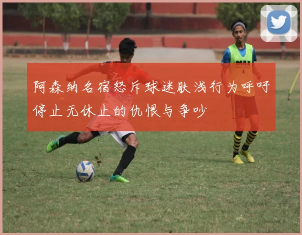 阿森纳名宿怒斥球迷肤浅行为呼吁停止无休止的仇恨与争吵