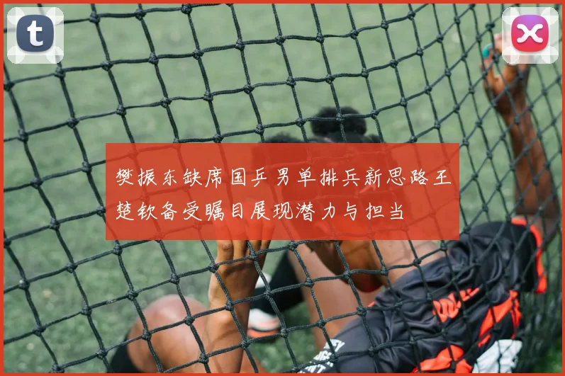 樊振东缺席国乒男单排兵新思路王楚钦备受瞩目展现潜力与担当